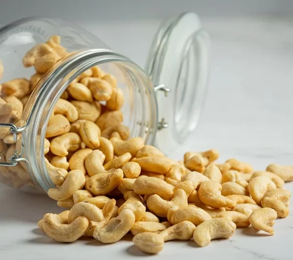 Cashew Exporter